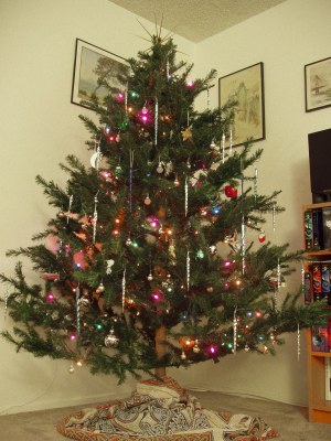 Our first Christmas tree (ambient light)